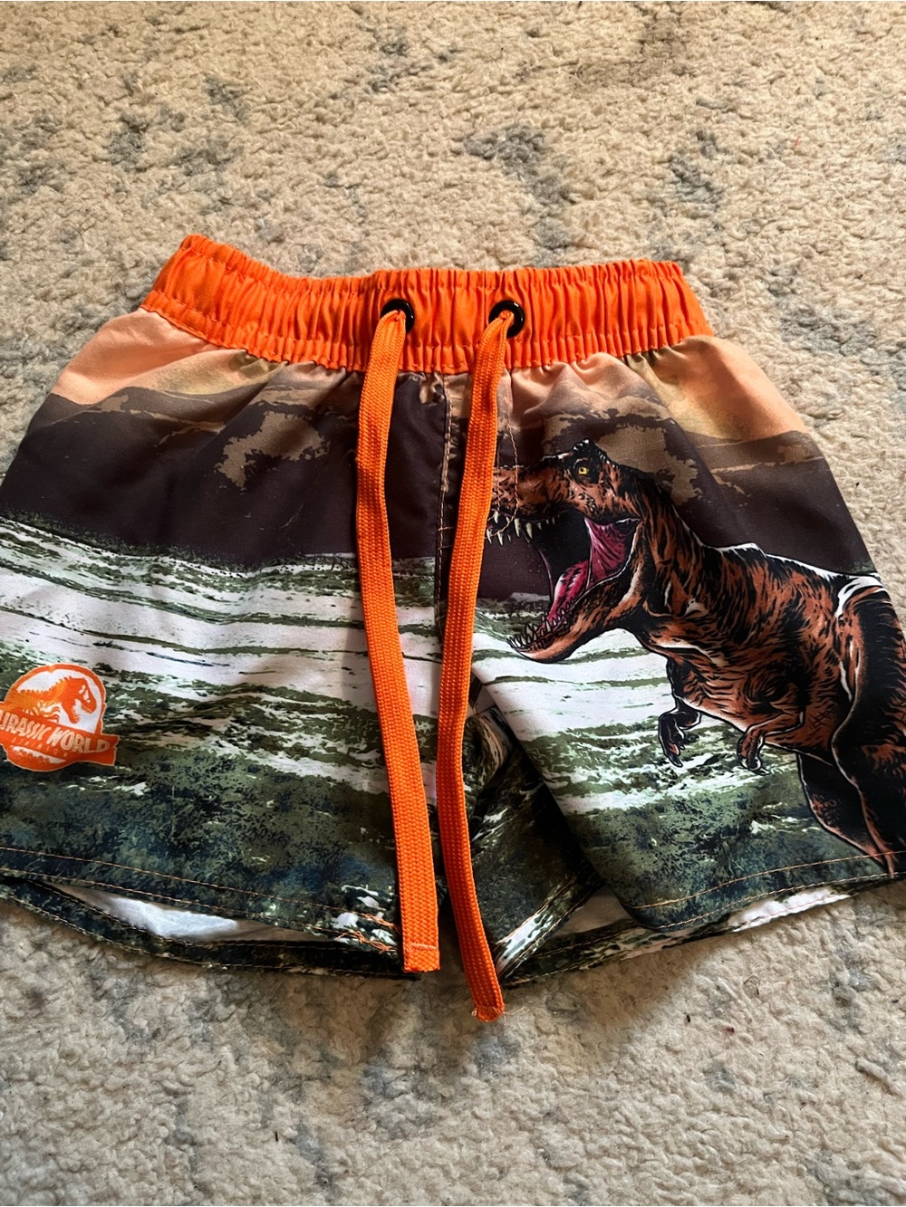Jurassic World Orange & Green Dino Swim Trunks